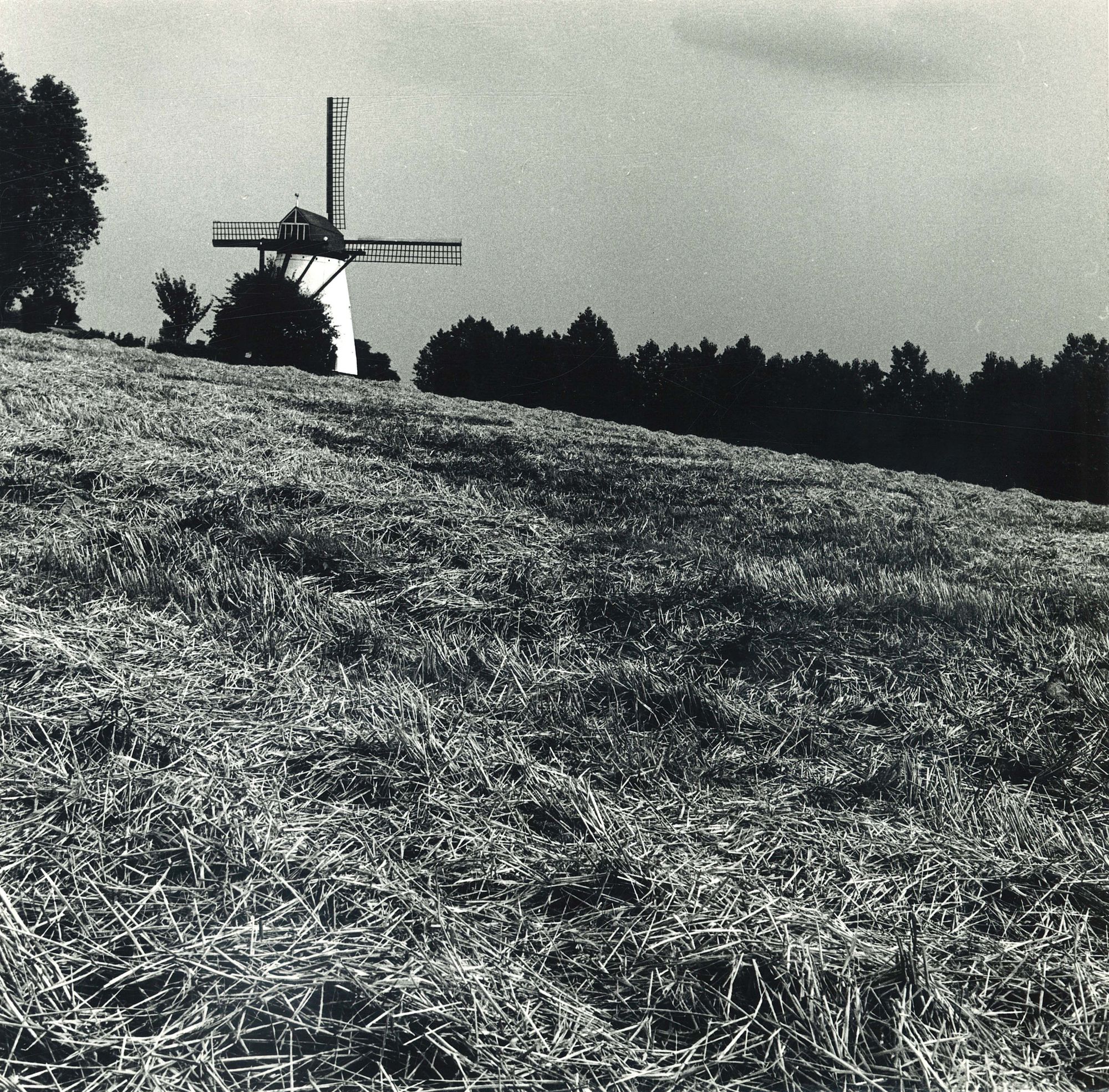 Molen van Tiegem 1972