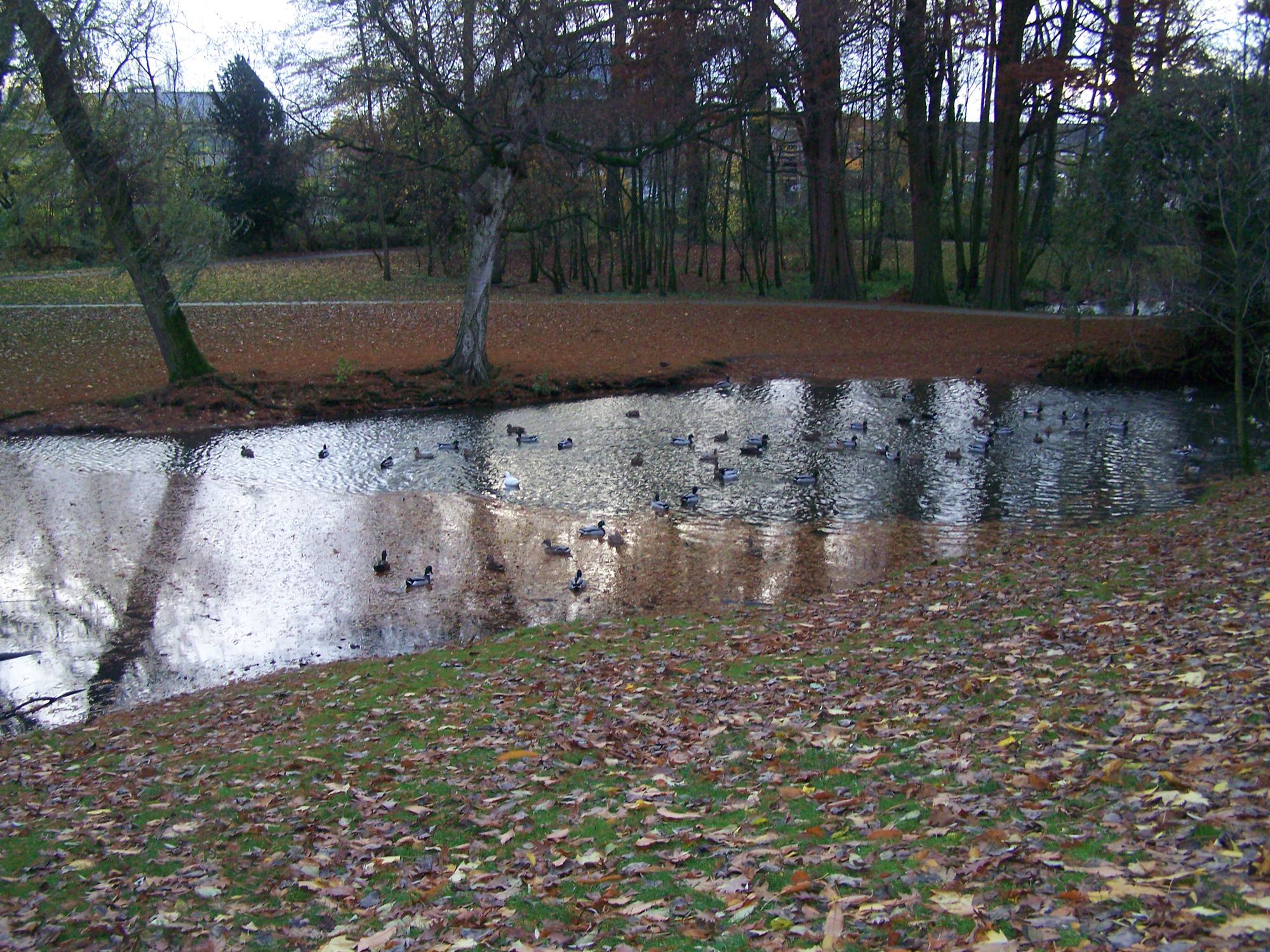 Kasteelpark Heule