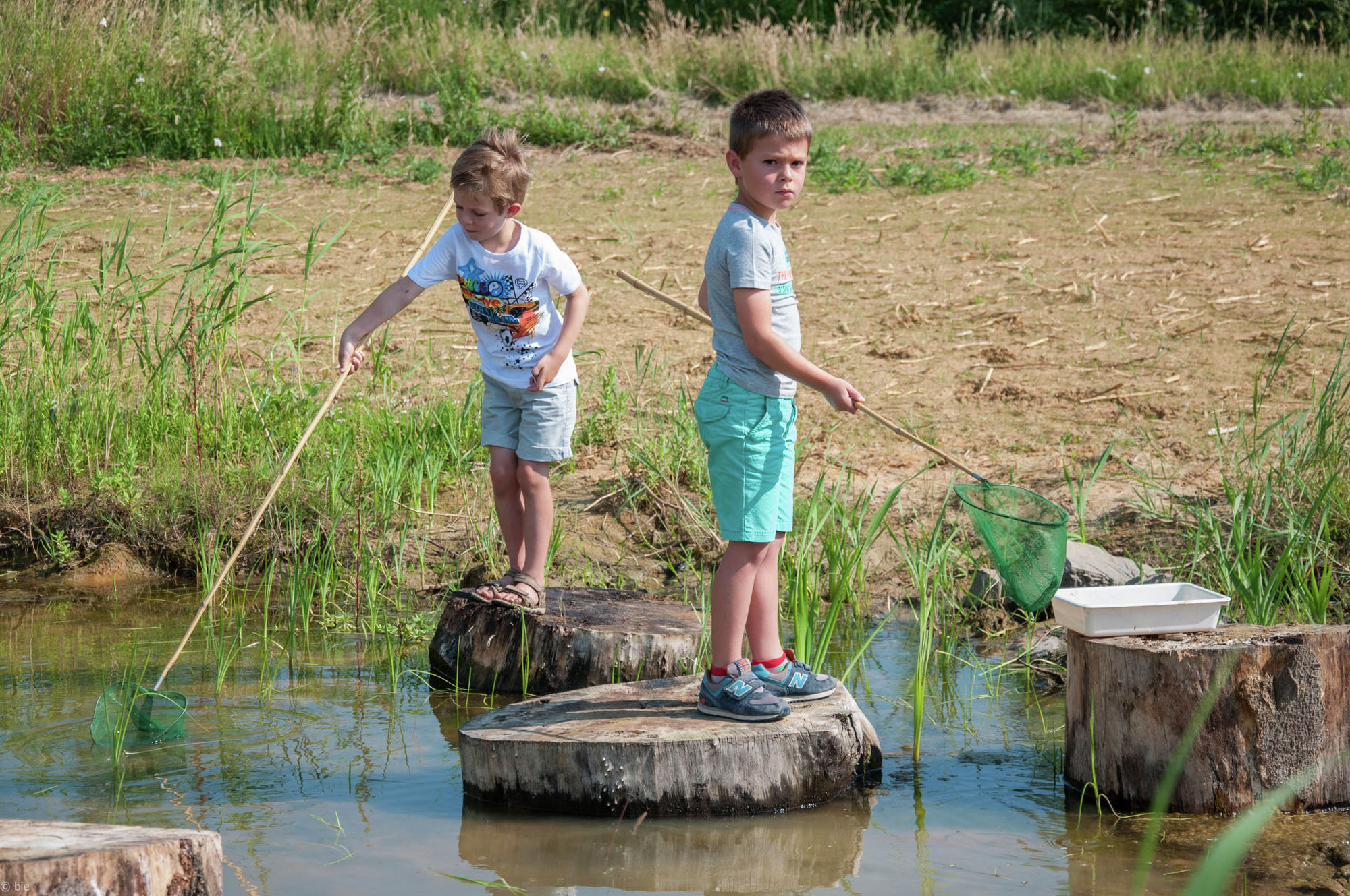 Kinderen op boomstronken