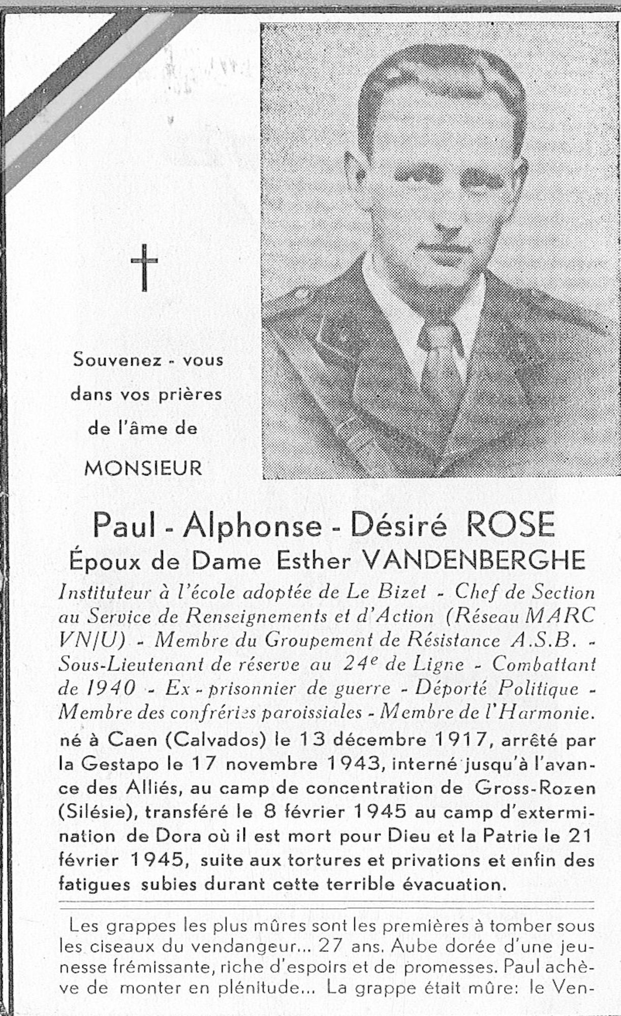 Rose Paul-Alphonse-Désiré 