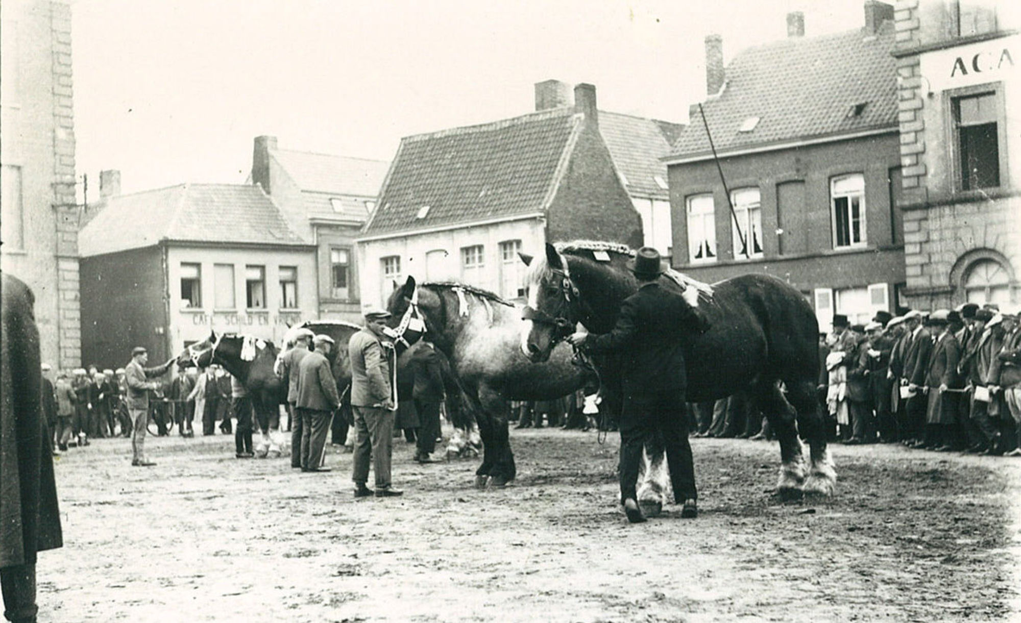 Paardenmarkt op de Houtmarkt in 1935