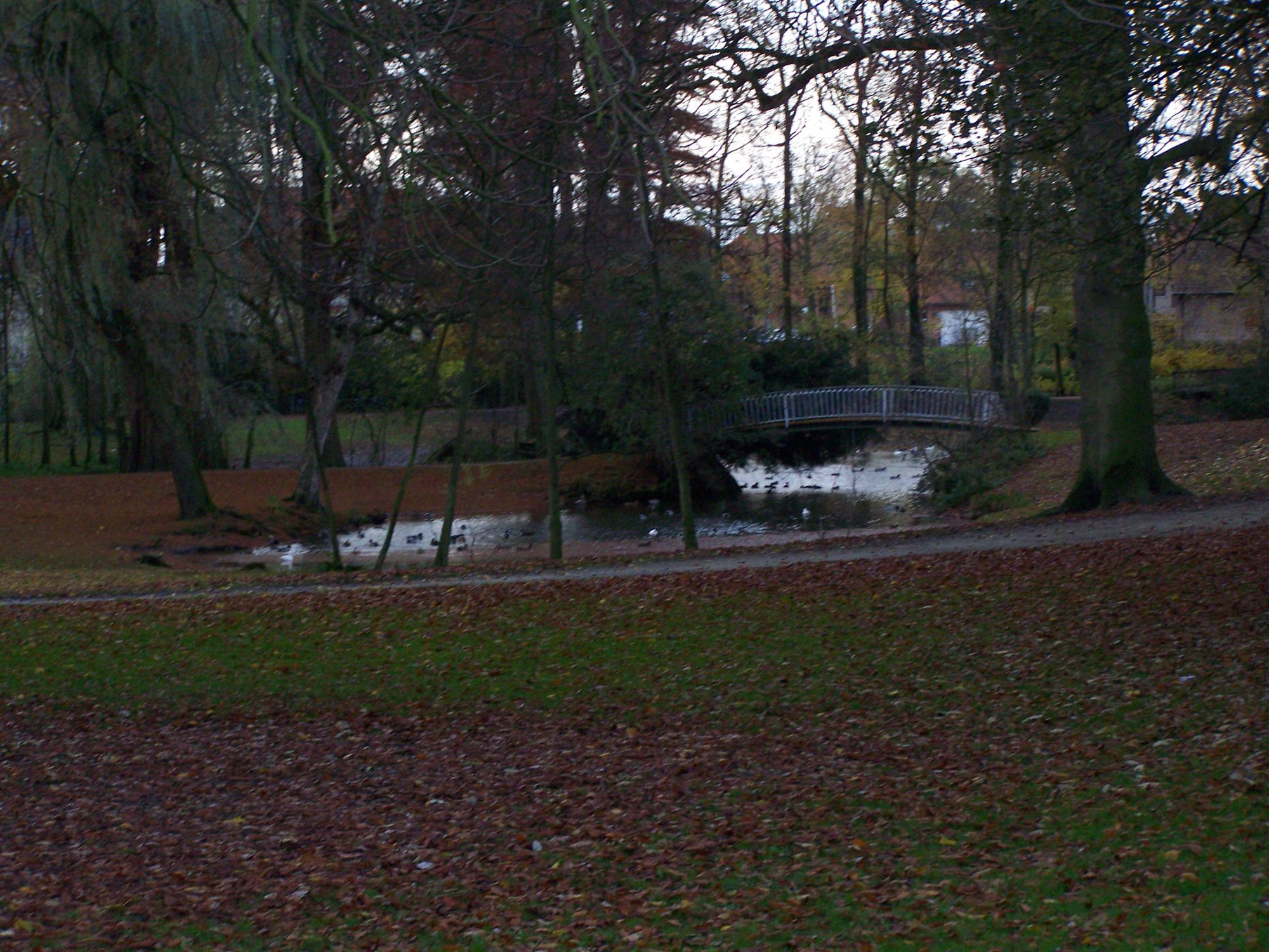 Kasteelpark Heule