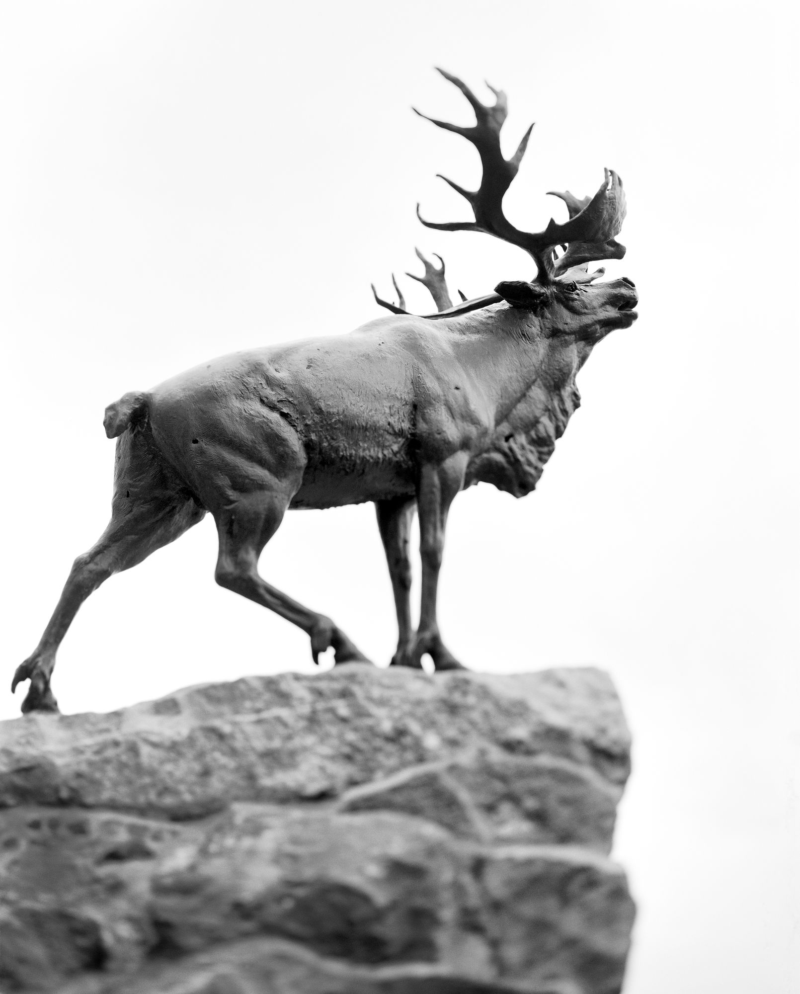 Newfoundland Memorial