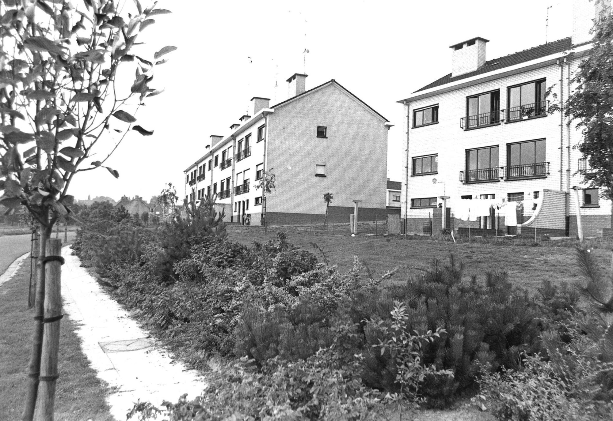 Dottenijsestraat