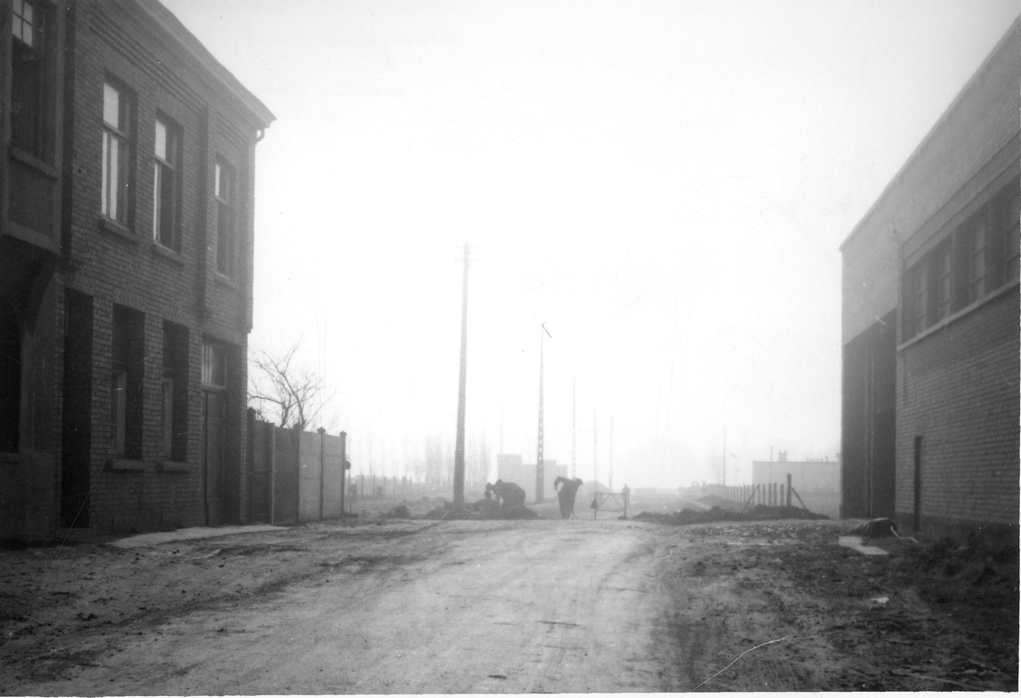 Zwingelaarsstraat 1959