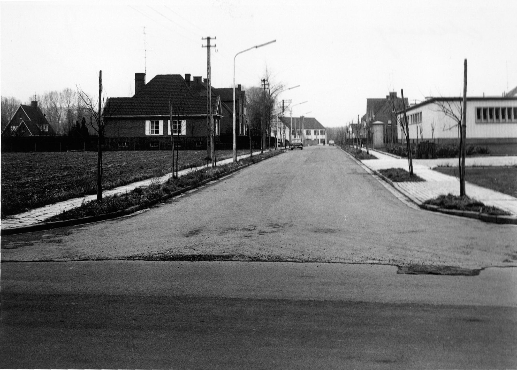 Meiweg