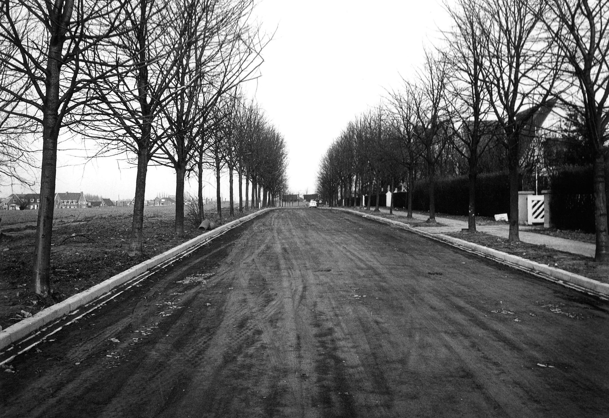 Lindenlei (later Lindenlaan) 1965