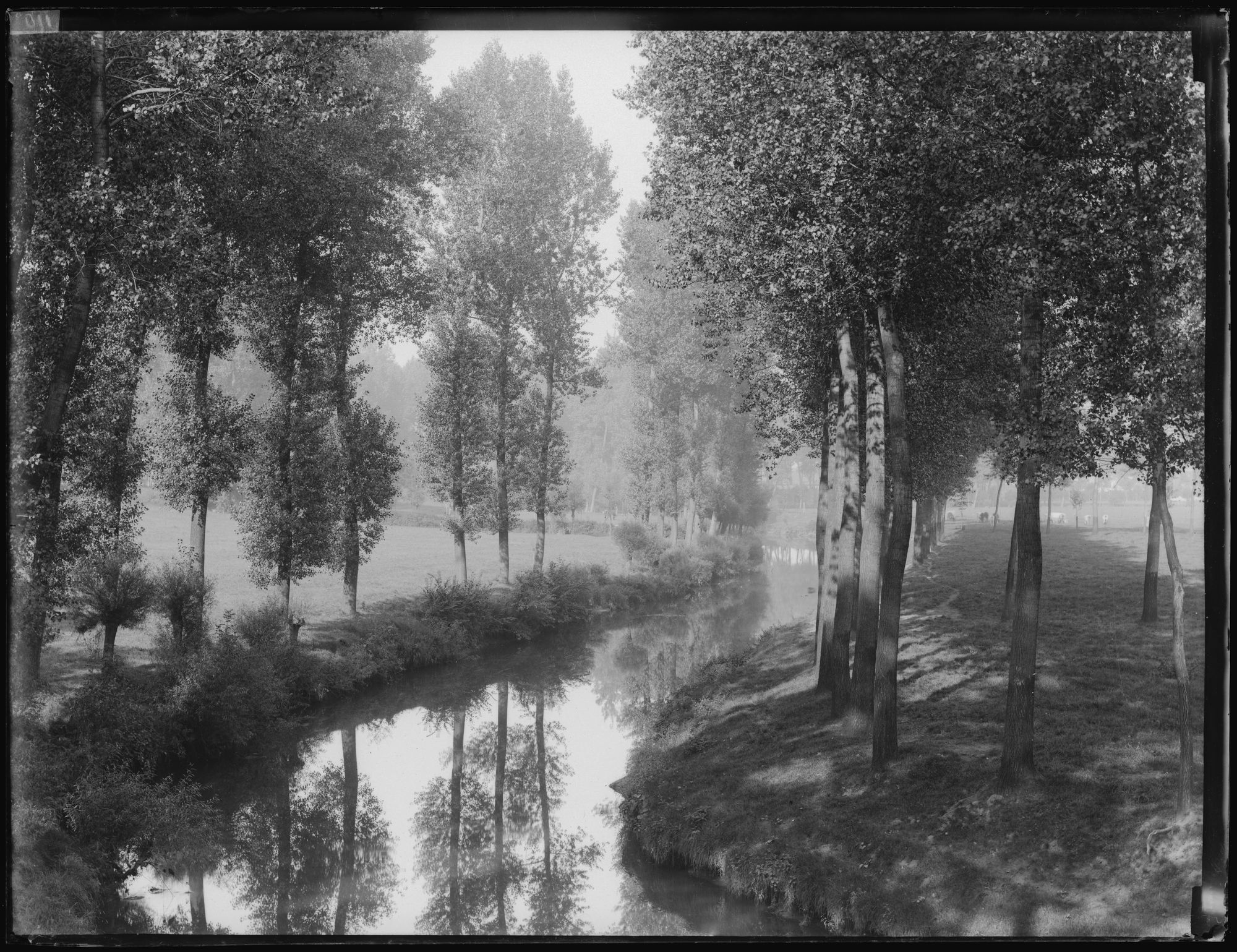 Schilderachtig landschap met bomenrij langs waterloop