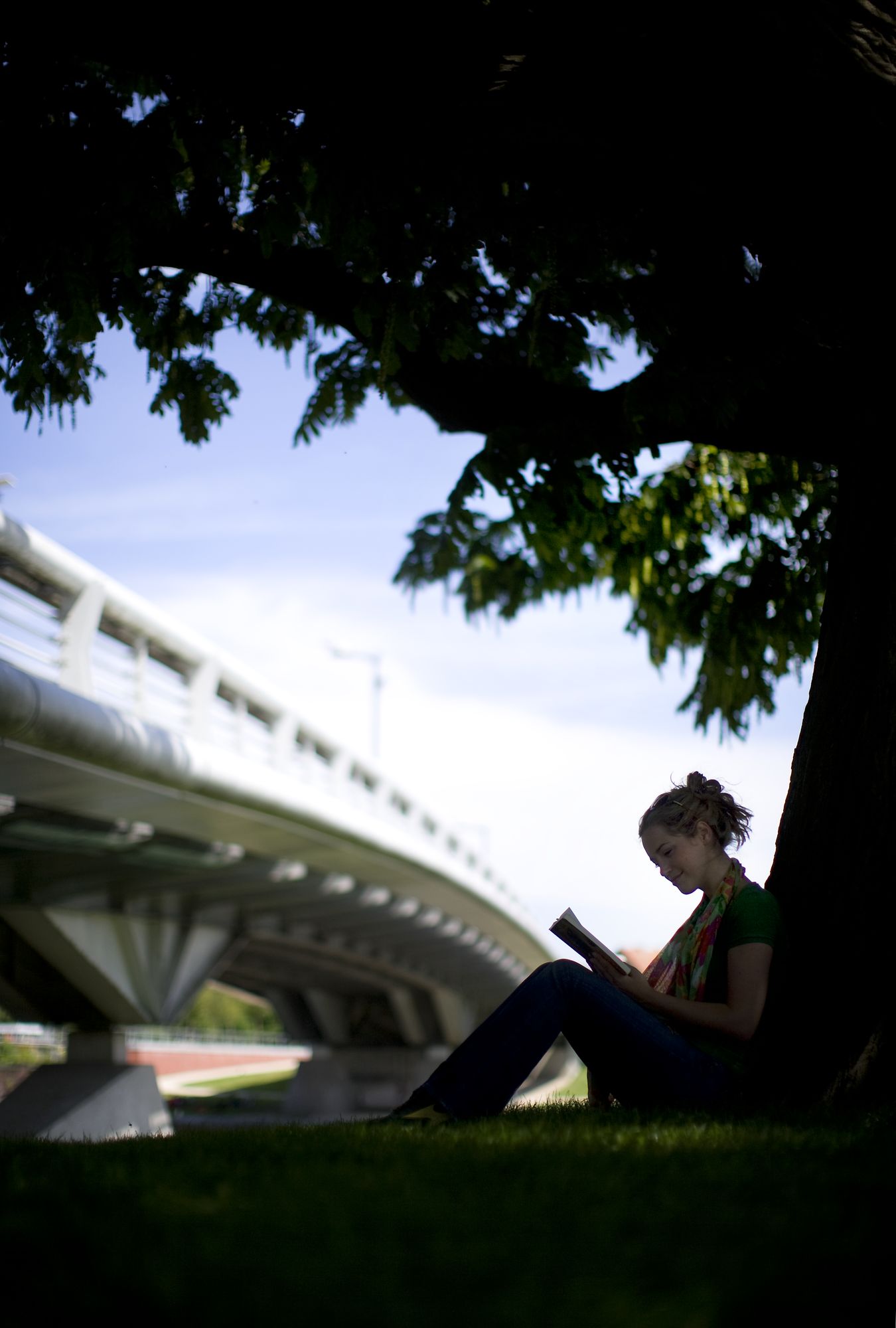 Groeningebrug